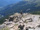 descente du col